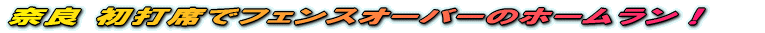 �ޗ� ���ŐȂŃt�F���X�I�[�o�[�̃z�[�������I
